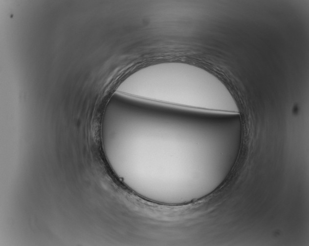 X0000116270035200911301027