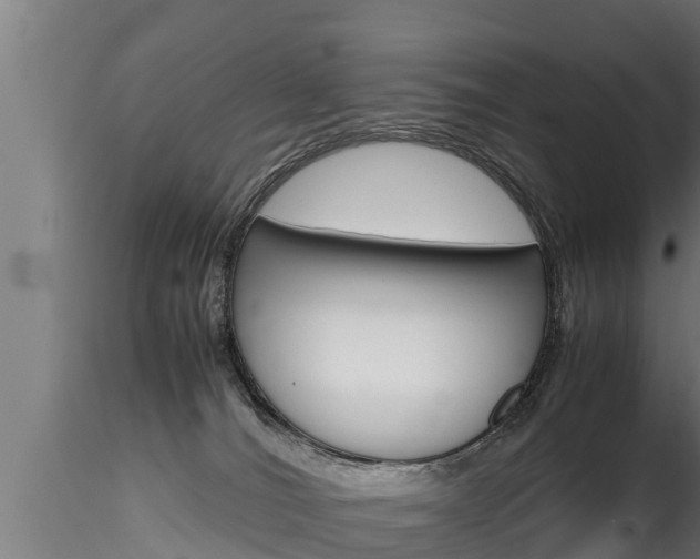X0000116270036200911301027