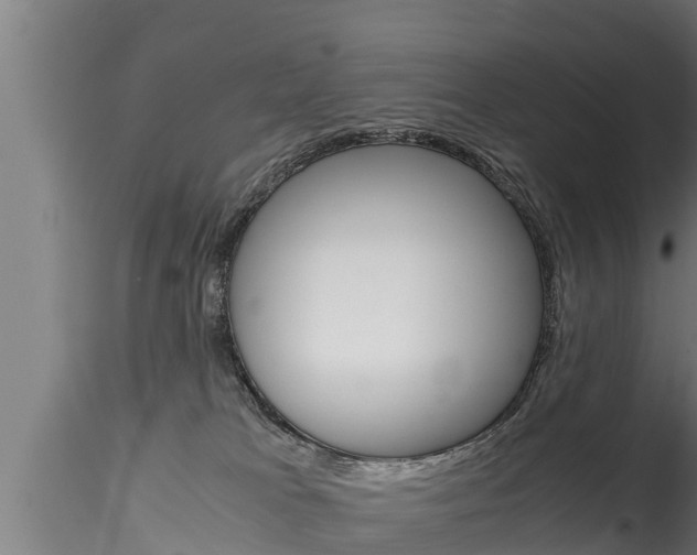 X0000116270037200911301027