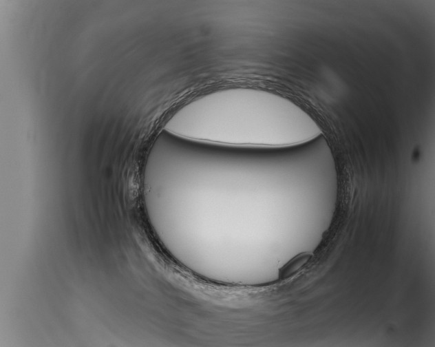 X0000116270040200911301027