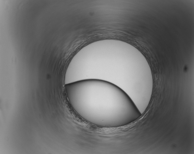 X0000116270041200911301027