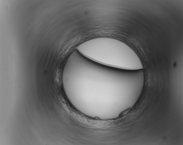 X0000116270044200911301027