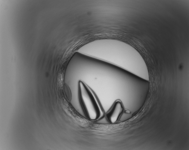 X0000116270045200911301027