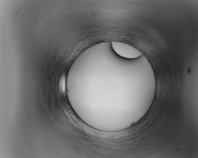 X0000116270046200911301027