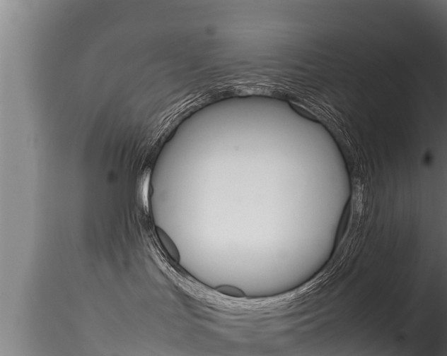 X0000116270047200911301027