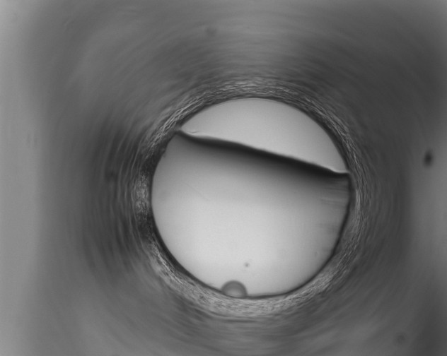 X0000116270048200911301027