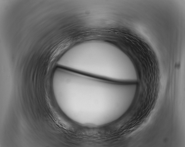 X0000116270049200911301026