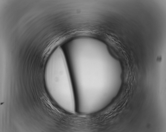X0000116270050200911301026