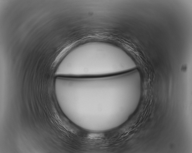 X0000116270051200911301026