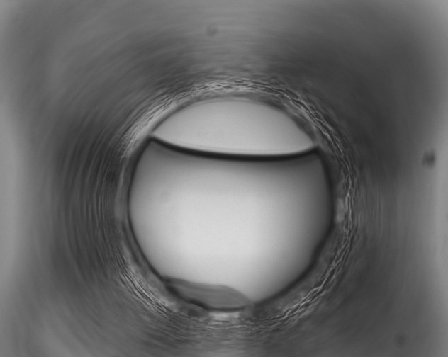 X0000116270052200911301026