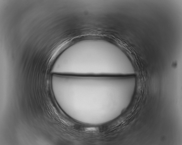 X0000116270053200911301026