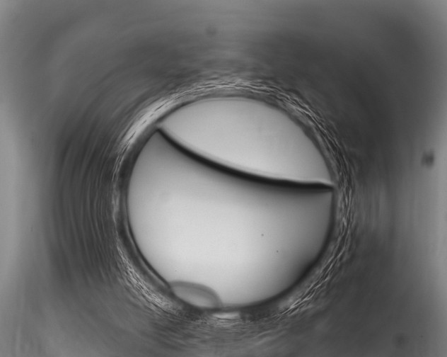 X0000116270054200911301026