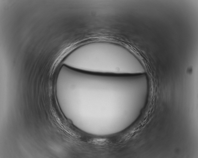 X0000116270055200911301026
