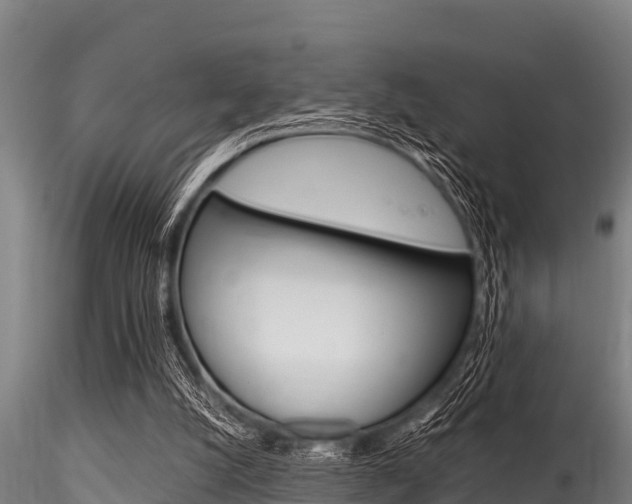 X0000116270056200911301026