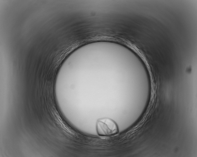 X0000116270057200911301026