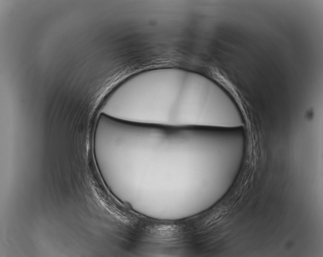 X0000116270059200911301026