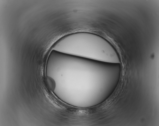 X0000116270060200911301026
