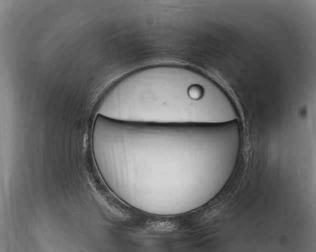 X0000116270063200911301026