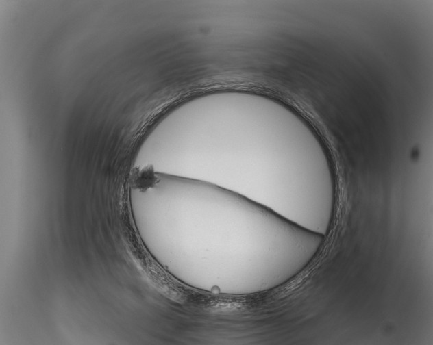X0000116270066200911301026