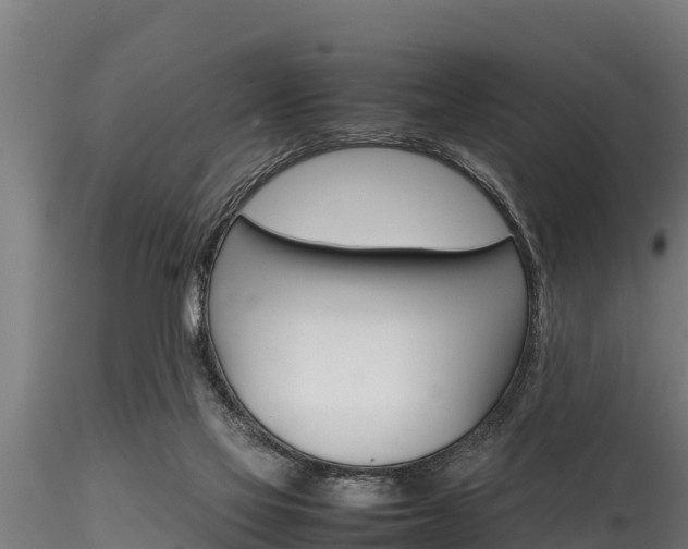 X0000116270069200911301026