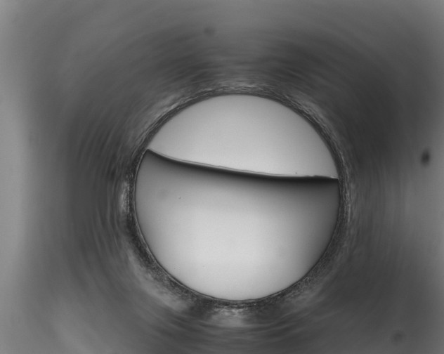 X0000116270071200911301026
