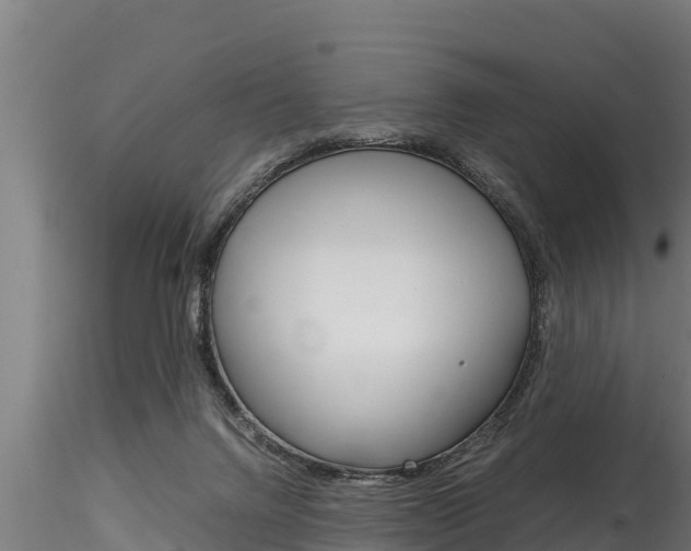 X0000116270072200911301026