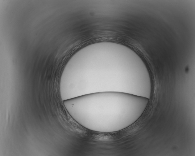 X0000116270073200911301026