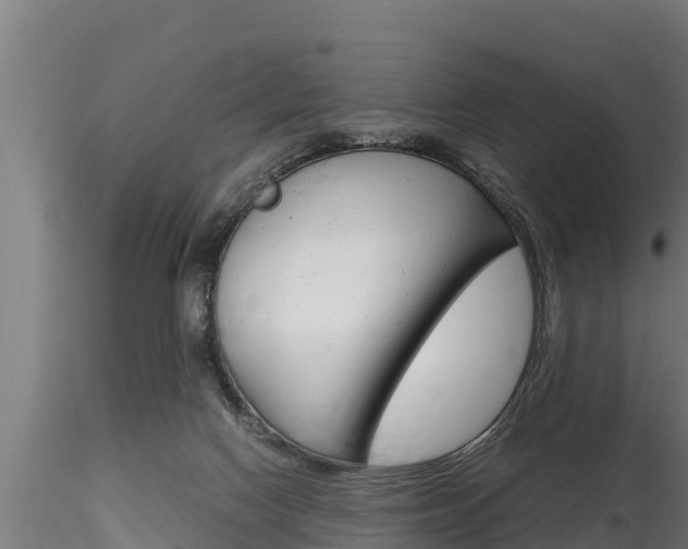 X0000116270074200911301026