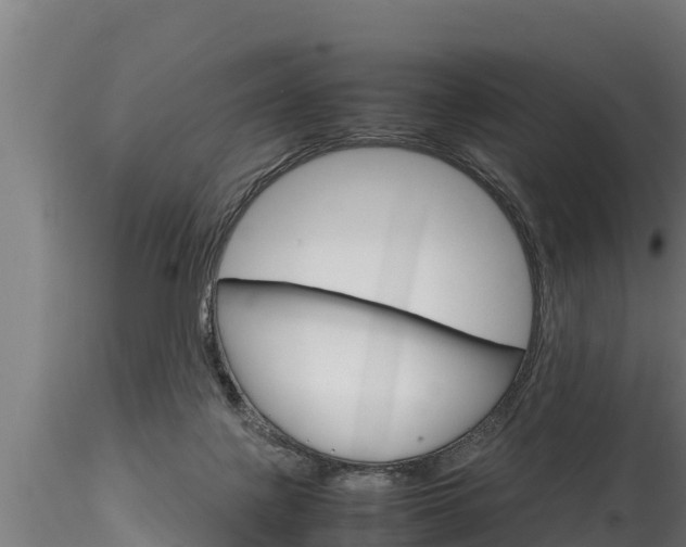 X0000116270075200911301026