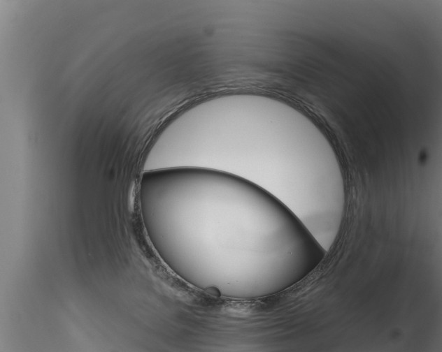 X0000116270076200911301027