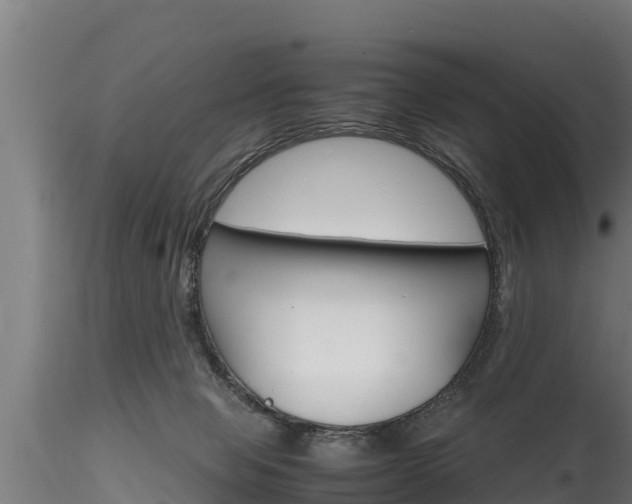 X0000116270077200911301027