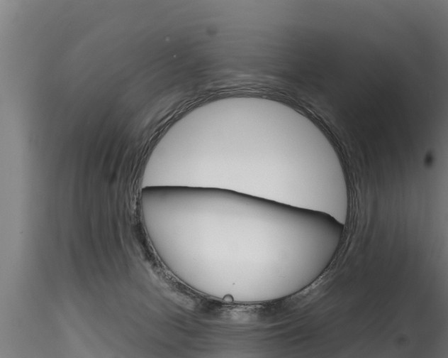 X0000116270078200911301027