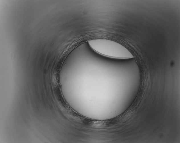 X0000116270088200911301027
