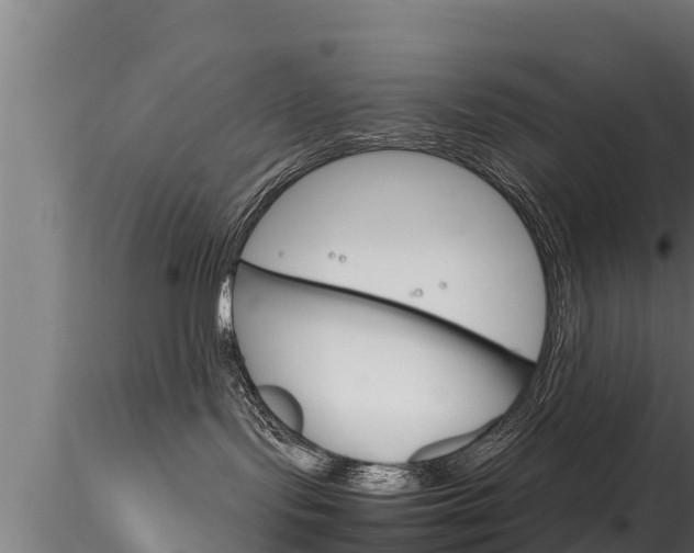 X0000116270095200911301027