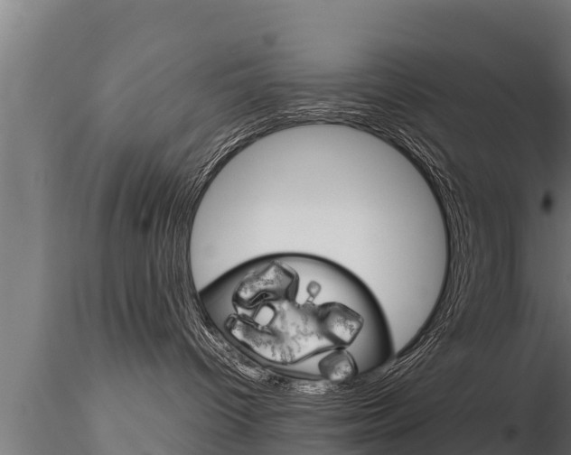 X0000116270096200911301027