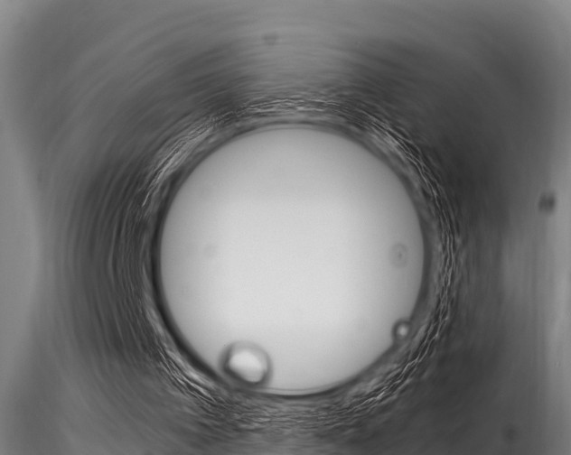 X0000116270097200911301026
