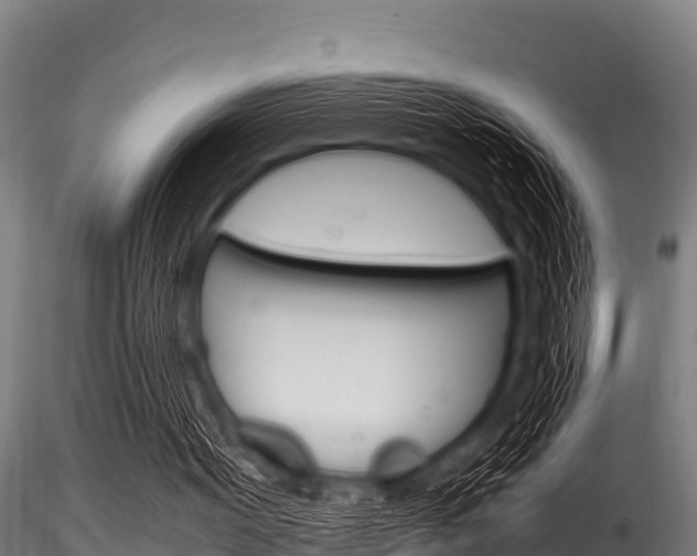 X0000116270099200911301026
