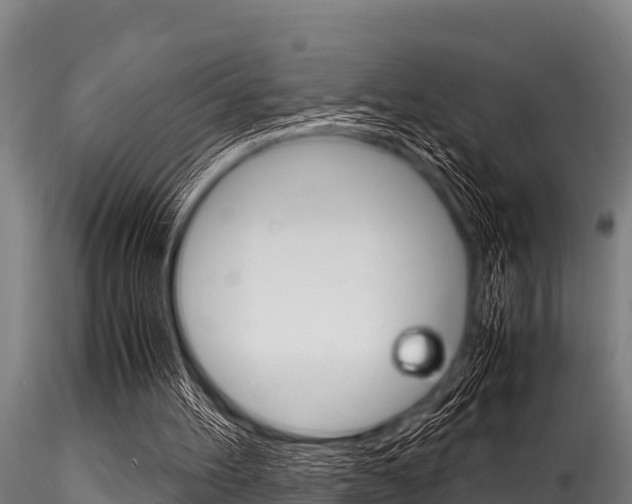 X0000116270100200911301026