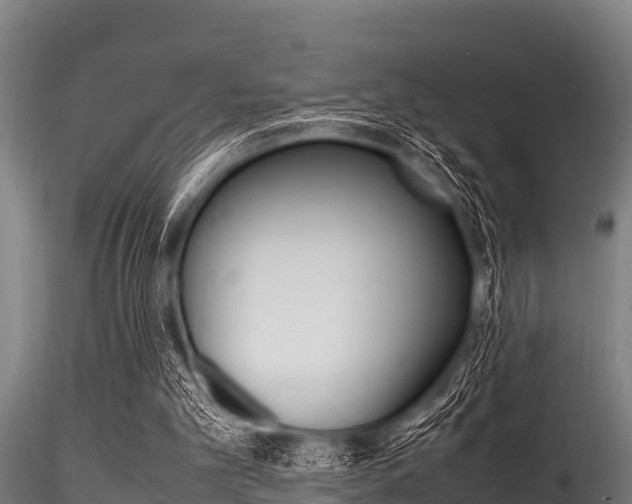 X0000116270101200911301026