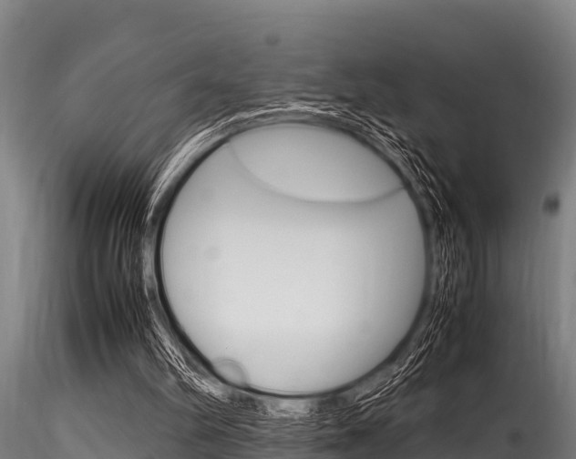 X0000116270102200911301026