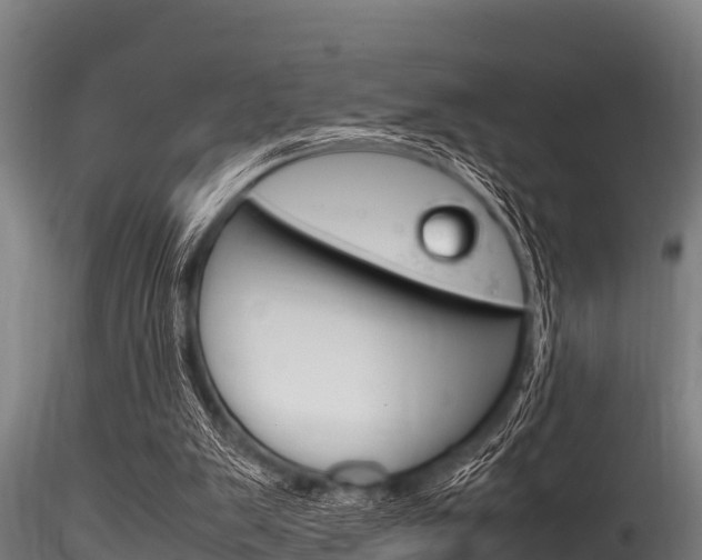 X0000116270103200911301026