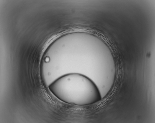X0000116270104200911301026