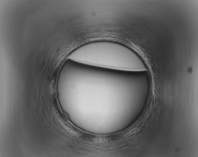 X0000116270105200911301026