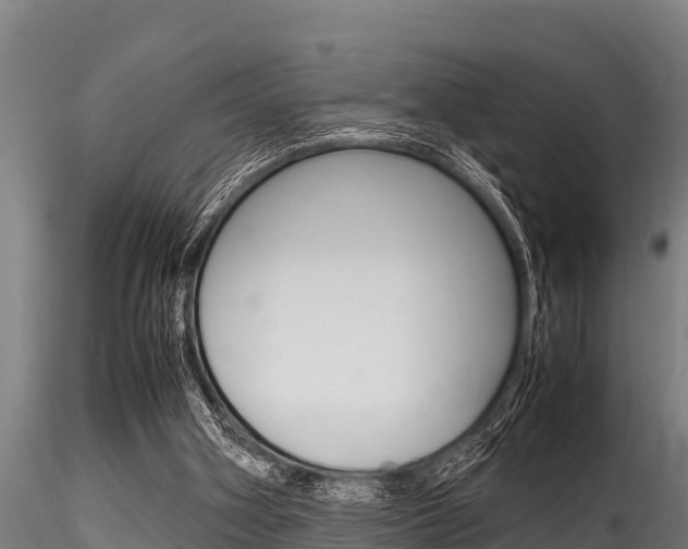 X0000116270106200911301026