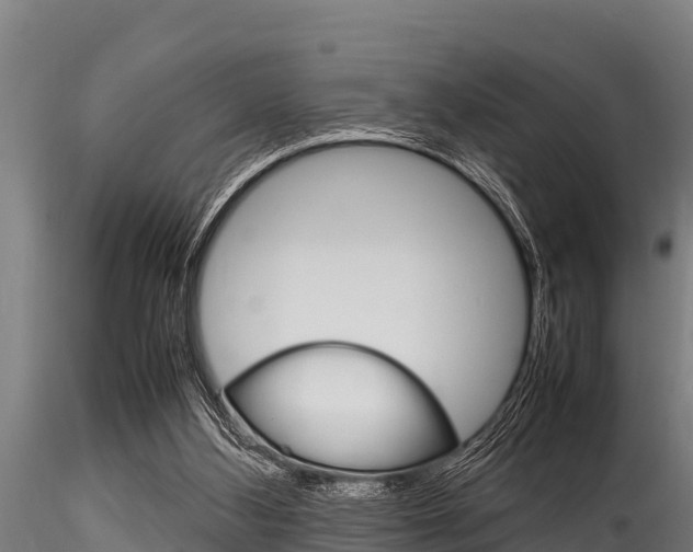 X0000116270108200911301026