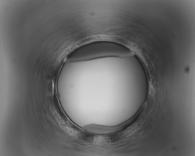 X0000116270109200911301026