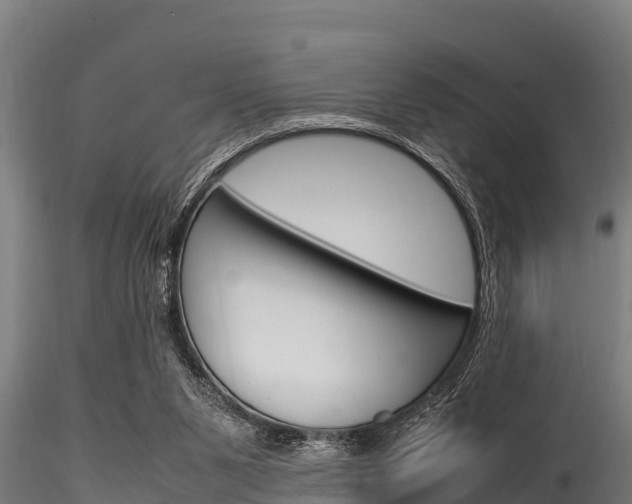 X0000116270111200911301026