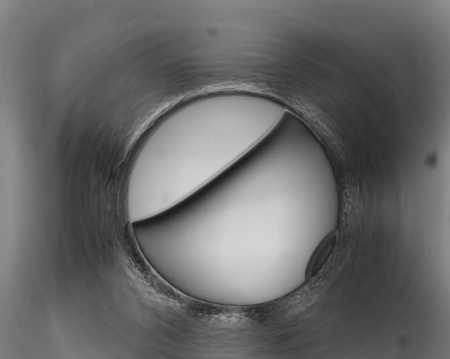 X0000116270112200911301026