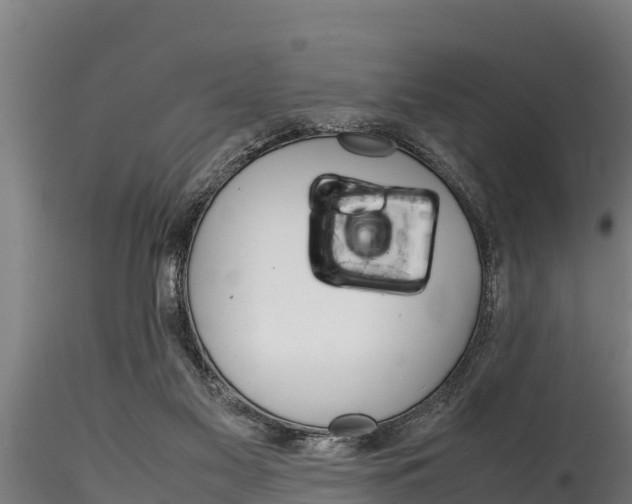 X0000116270117200911301026