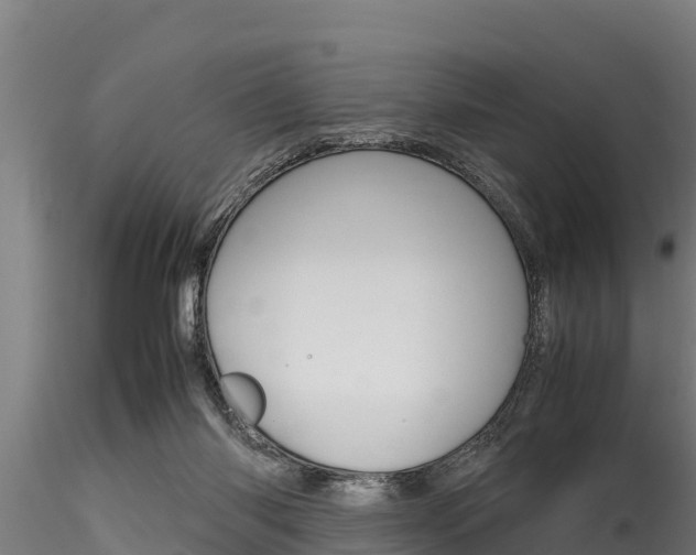 X0000116270118200911301026